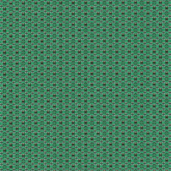 Grass
