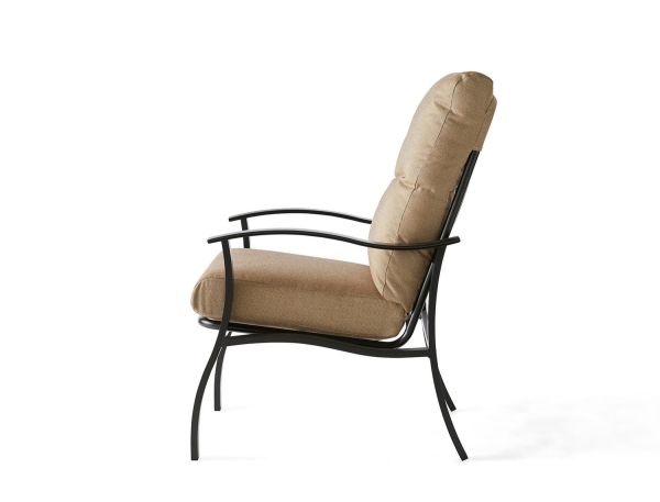 Side view of the Albany Dining Armchair—a metal-framed chair with a cushioned back and light brown fabric-upholstered seat. It features curved black armrests and legs, set against a plain white background.