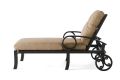 Eclipse Chaise Lounge