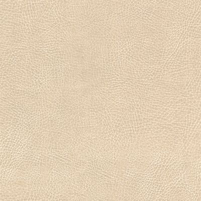 Brisa Distressed Chamois