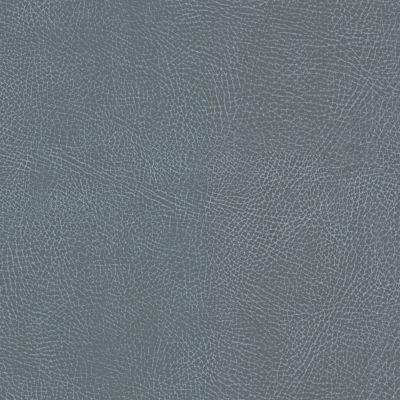 Brisa Distressed Charcoal