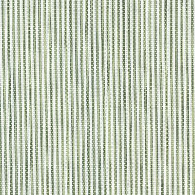Pinstripe Green
