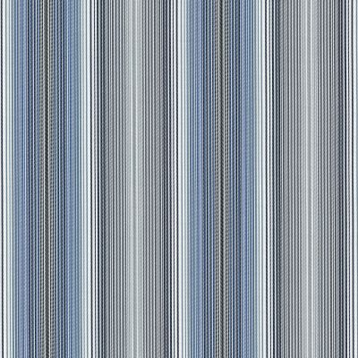 Daytripper Stripe